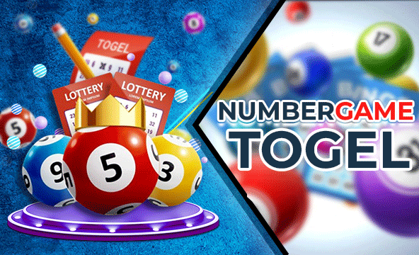 Maximum Bet for Playing Zodiac (Shio) in Online Togel